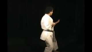 Heian Nidan Kata  Shotokan Karate [upl. by Alleunamme]