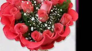 doce rosas terremoto show de durango [upl. by Meggy]