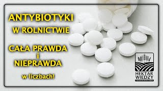 ANTYBIOTYKI w ROLNICTWIE  CAŁA PRAWDA I NIEPRAWDA  HEKTAR WIEDZY [upl. by Nereids]