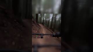 Rocky Flow mtb downhill [upl. by Lucia33]