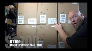 Amazon Toys Pallet Valued at 1700  Amazon Customer Returns Mystery Boxes [upl. by Amby]