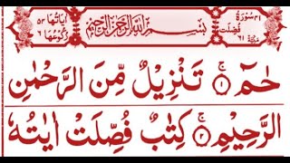 Surah Fussilat  Surah Haa Meem Sajdah  Best Quran Recitation  Sajjad Quran Tv [upl. by Grath473]