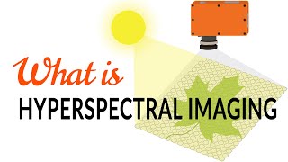 What is hyperspectral imaging  Tutorial [upl. by Derfiniw]