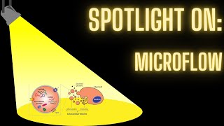 Spotlight on EV flow cytometry with Dr Desmond Pink [upl. by Melburn]