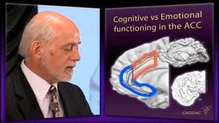 The Neuroanatomy of ADHD and thus how to treat ADHD  CADDAC  Dr Russel Barkley part 2a [upl. by Adnarram]