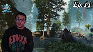 I Went Into The Redwoods In Search Of A High Level Thylacoleo  Ark Survival Ascended Ep44 [upl. by Higginson]