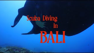 Scuba Diving in Nusa Penida Island  Bali Vlog [upl. by Naejarual]