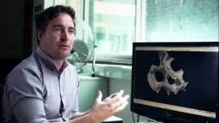 Swansea University – Dr Richard Johnston discusses Xray microtomography and 3D printing [upl. by Giorgia809]