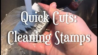 Quick Cut Removing StazOn or permanent ink from carved stamps [upl. by Lantz164]