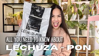 💚 Why I moved 200 plants to LECHUZAPON  Honest Review  Repotting different substrate to PON 💚 [upl. by Bibah260]