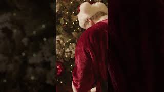 Christmas Ambience Music🎄Christmas Background Music 🎄 Best Christmas Instrumental Music [upl. by Eak]