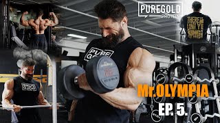 Mr Olympia ep 5 HátBicepsz edzés [upl. by Arraet281]