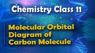 Molecular Orbital Diagram of Carbon Molecule  Nature of Chemical Bond  Chemistry Class 11 [upl. by Ambrosine]