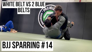 BJJ Sparring 14  Back at it  White Belt Sparring two Blue Belts [upl. by Adalbert317]