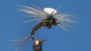 Fly Tying for Beginners an Olive Quill Klinkhammer with Jim Misiura [upl. by Rozele566]