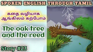 Spoken English through Tamil Story 23 The oak tree and the reed [upl. by Akeihsal350]