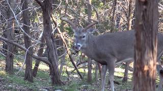 Big 7 Rage in the Cage 10 Pt Crossbow [upl. by Dallon844]