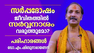 സർപ്പദോഷം സൂക്ഷിക്കണം പരിഹാരങ്ങൾ ഇതാണ്  Astrological Life [upl. by Klaus]