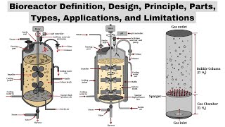 Bioreactors  Design Principle Parts Types Applications amp Limitations  Biotechnology Courses [upl. by Harrison]