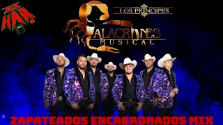 ALACRANES MUSICAL ZAPATEADOS ENCABRONADOS MIX PERRON DE PERRONES PA ZAPATEAR 2023  2024 DJ HAR [upl. by Oba]