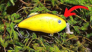 The BEST LURES For Fishing GRASS amp WEEDS [upl. by Corwin846]