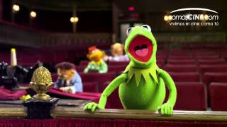 Los Muppets 2011 Trailer HD Doblado Español Latino [upl. by Neely]