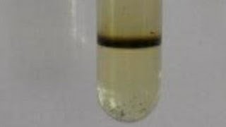 NITRIC ACID [upl. by Ethan]