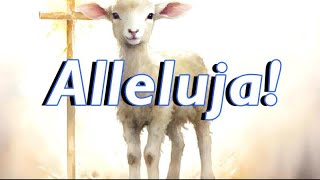 Wesołego Alleluja 🐑🐥🌻 [upl. by Grassi228]