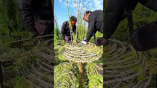 Weaving process of modeling tree [upl. by Tsugua]