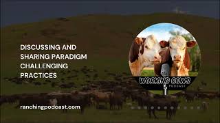 Ep 338 – Tom Krawiec – Evaluating Pasture Profitability  Working Cows [upl. by Tonie991]