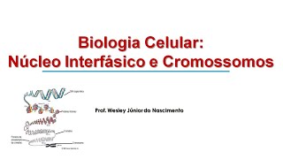 Biologia Celular 08 Núcleo Interfásico e Cromossomos [upl. by Nnaecarg900]