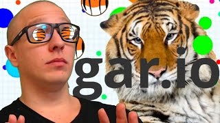 Agario  Tiger Skin FFA Grinding [upl. by Rachael]