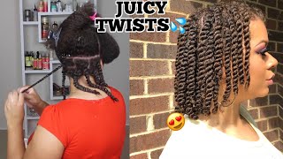 How To Twists Natural Hair Properly As A Protective Style  No Added Hair Needed [upl. by Noble]