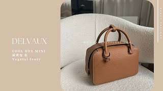 DELVAUX COOL BOX MINI 肩背包 Vegetal Ivory 棕 [upl. by Nennek]