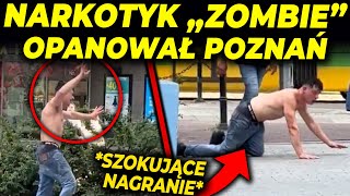 NARKOTYK „ZOMBIE” OPANOWAŁ POZNAŃ [upl. by Cypro]