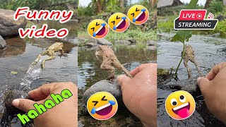 Catching frog funny for fun  funny animal video  cute frog jumping in river [upl. by Otrebmuh]