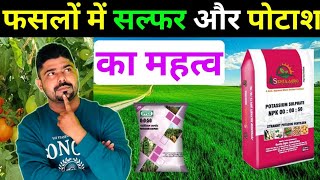 फसलों में Sulphur और पोटाश का महत्व ।। NPK 000050 ।। Sulphur Fertilizer ।। सल्फर और पोटाश का स्प्रे [upl. by Robinett]