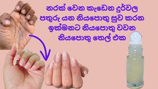 නරක් වෙන කැඩෙන නියපොතු සුව කරන ලස්සනට නියපොතු වවන තෙල් සත්කාරයනියපොතු සත්කාරNail care sinhalaasmr [upl. by Appilihp]