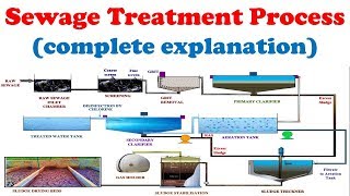 Sewage treatment plant working with explanation  Wastewater treatment process description [upl. by Vitoria158]