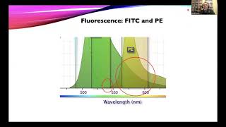 OpenFlow Multicolor Flow With Compensation Using a CytoFLEX LX [upl. by Acinat507]