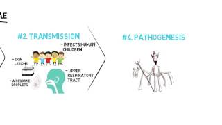 Corynebacterium Diphtheriae [upl. by Berk]