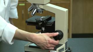 Human Physiology and Anatomy  Compound Microscope [upl. by Nesyla483]