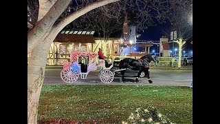 Magical Frankenmuth Christmas [upl. by Akemej967]