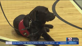 Preston High School received therapy dog [upl. by Ednew]