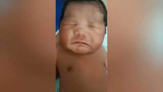 new video welcome baby littile champ cuteyoutubeshorts chitrachourasia 7510 [upl. by Donela]