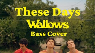 Wallows  These Days  Bass Cover With Tabs [upl. by Ityak]