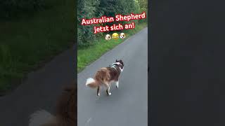 Fahrradtour mit Hund doch der muss laufen 🐶😂🐶 [upl. by Aieka]