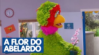 Sésamo Monstros em Rede  Episódio 6  A flor do Abelardo [upl. by Michella]