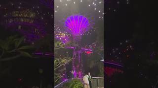 Supertree Light Show Singapore shorts supertreegrove gardensbythebay singapore [upl. by Lohrman956]