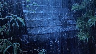 Heavy Rain amp Thunder Sounds for Deep Sleep 😴  Rainstorm Ambience [upl. by Krahmer]